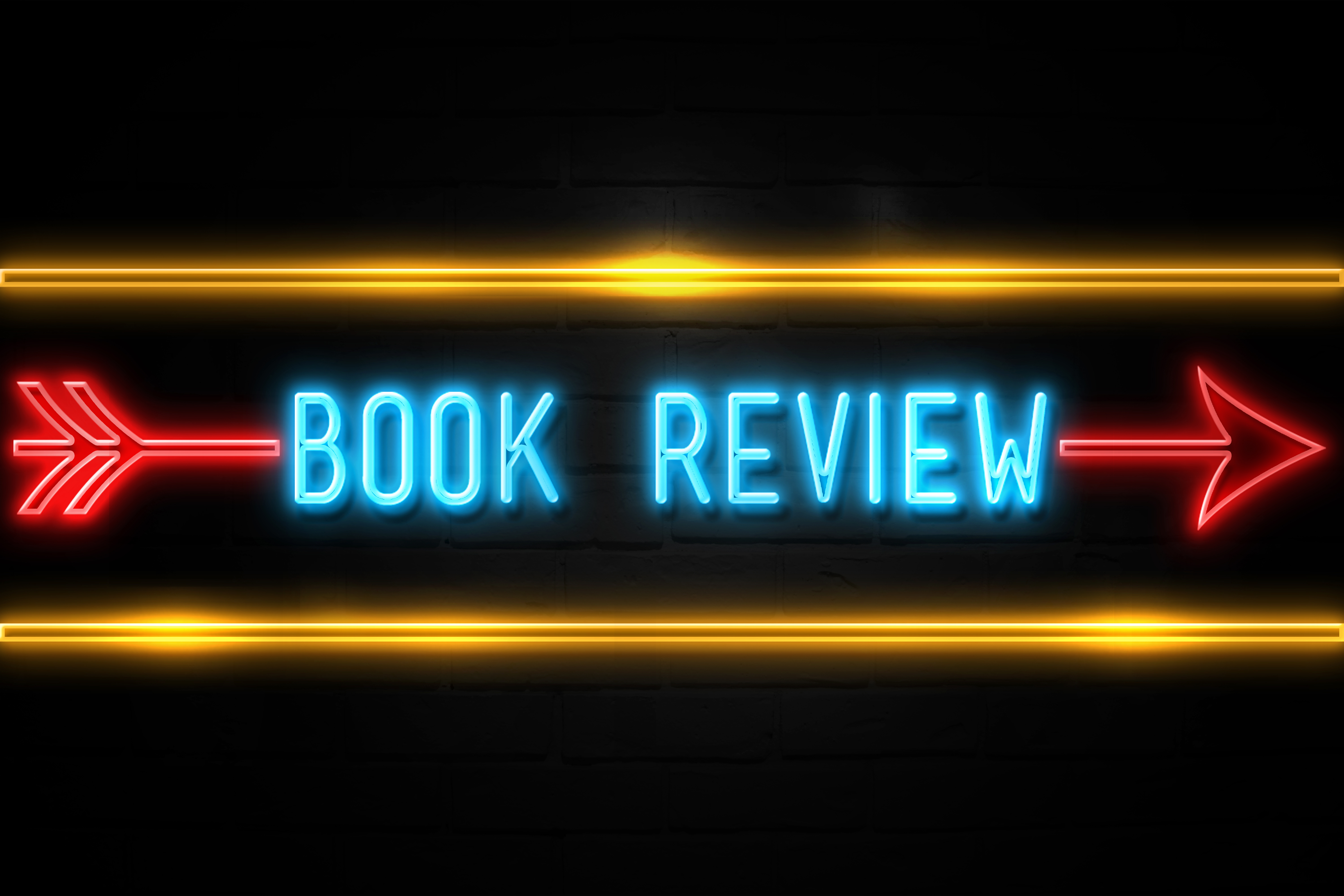 Book Review  - fluorescent Neon Sign on brickwall Front view